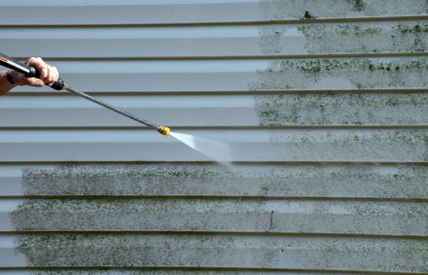 Best Black Mold Removal  in Sharonville, OH